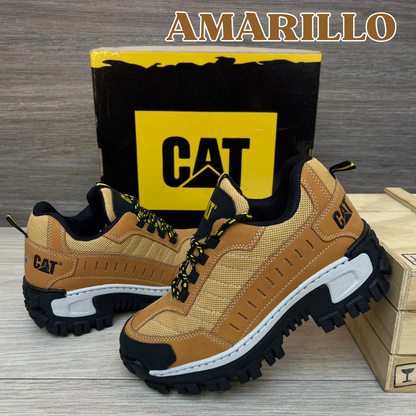 NUEVOS  CAT INTRUDER