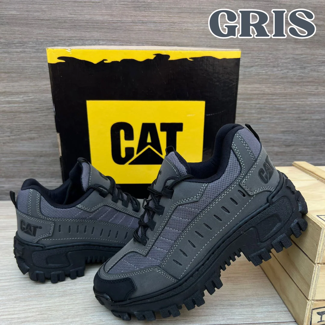 NUEVOS  CAT INTRUDER