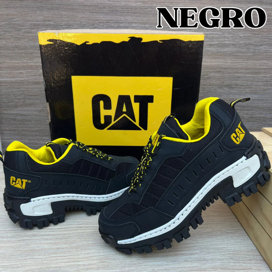 NUEVOS  CAT INTRUDER
